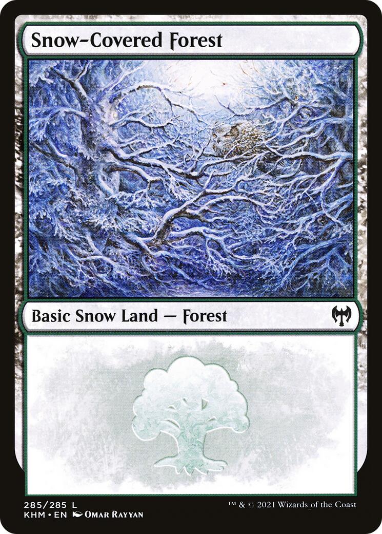 Snow-Covered Forest (285)
