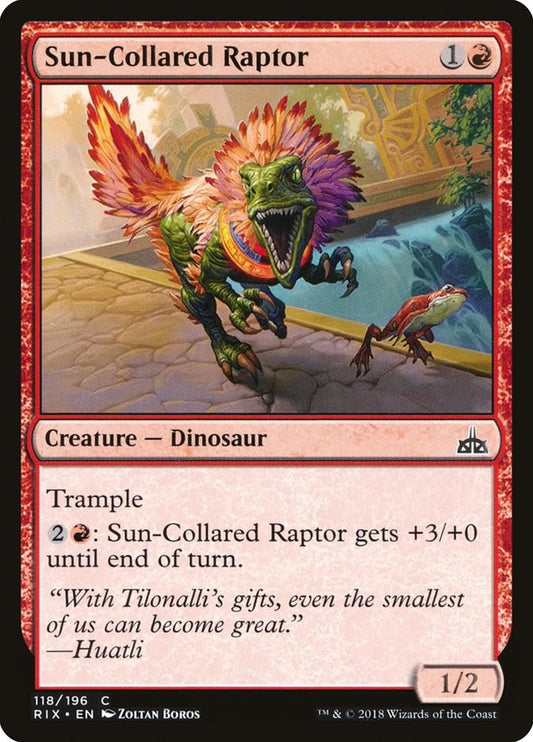 Sun-Collared Raptor [RIX - 118]
