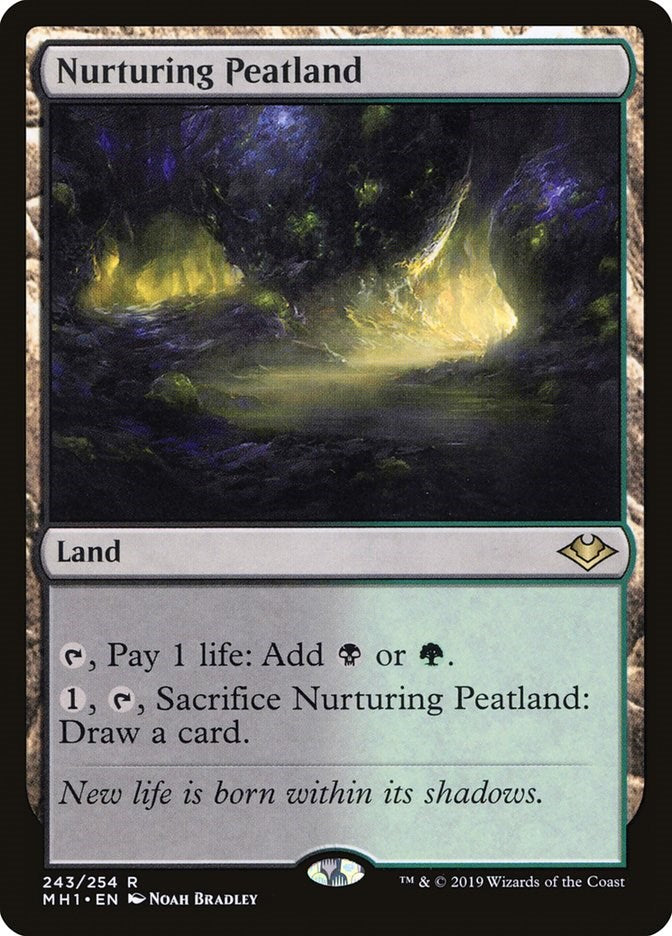 Nurturing Peatland [MH1 - 243]