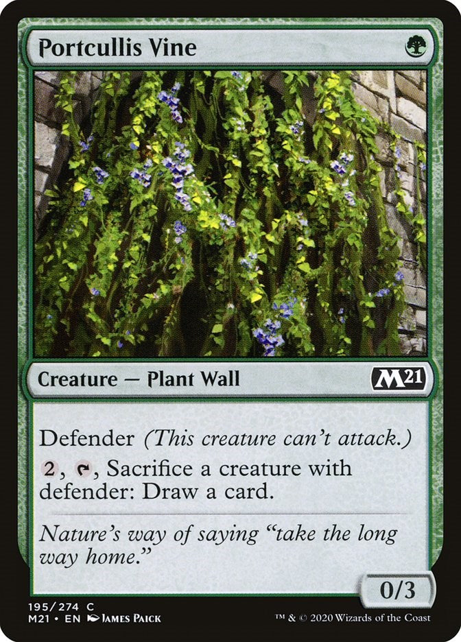 Portcullis Vine [M21 - 195]