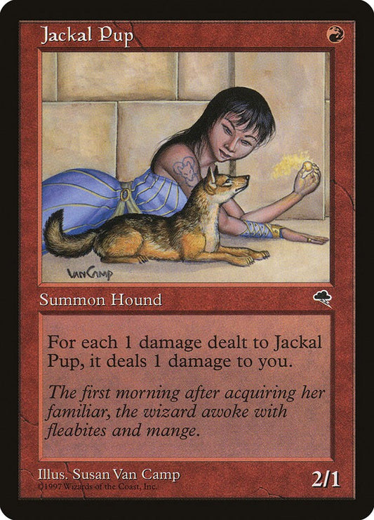 Jackal Pup [TMP - 183]