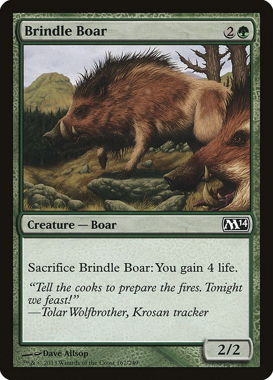 Brindle Boar [M14 - 167]
