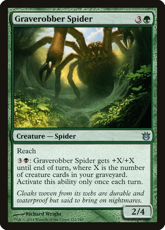 Graverobber Spider [BNG - 122]