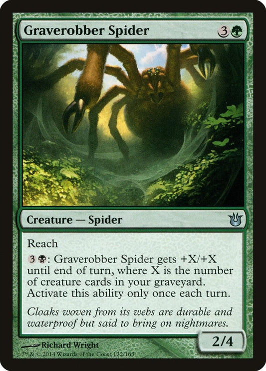 Graverobber Spider [BNG - 122]