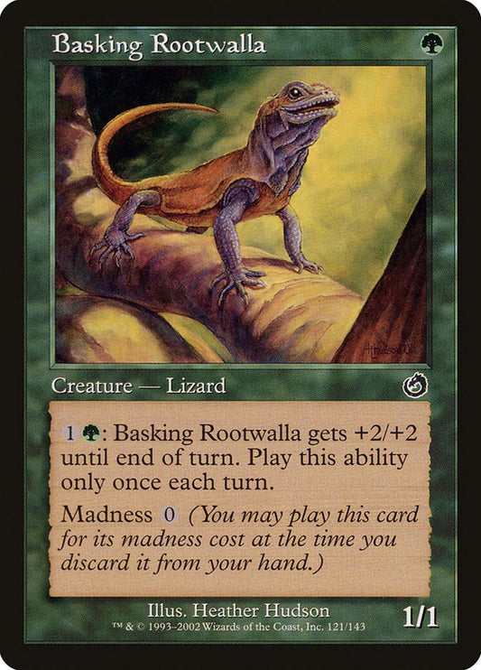 Basking Rootwalla [TOR - 121]